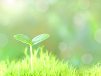 当社持ち込み廃棄処分業務