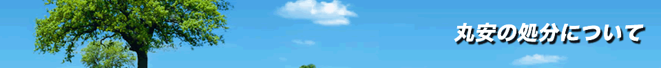 丸安の処分について